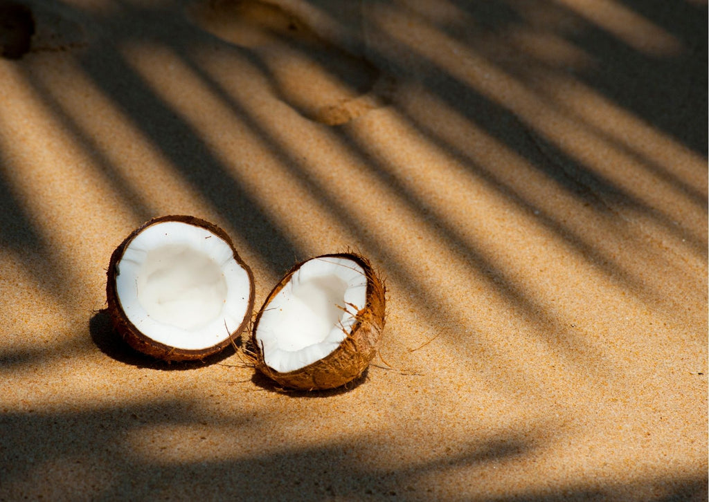 Absolème les vertus de la noix de coco