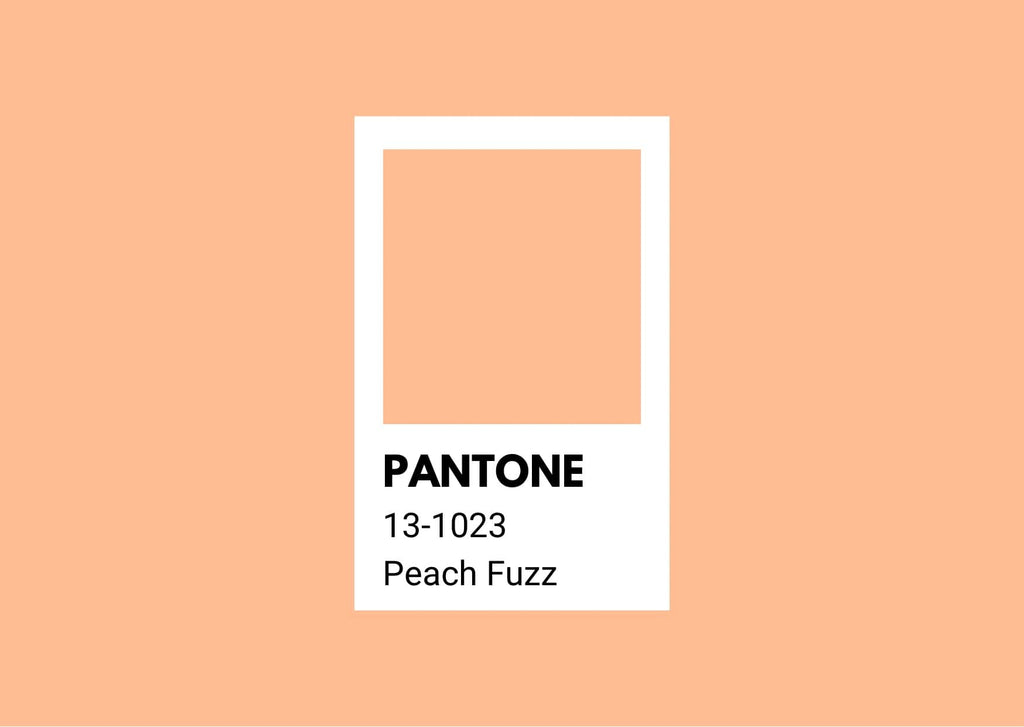 Absolème peach fuzz pantone 2024