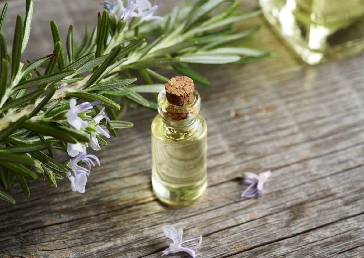 Absolème les bienfaits de l'huile de romarin pour les cheveux