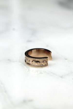 Absolème bague d'oreille tendance en plaqué or