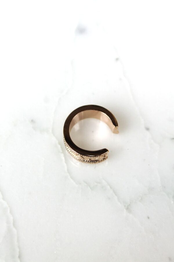 Absolème bague d'oreille tendance en plaqué or
