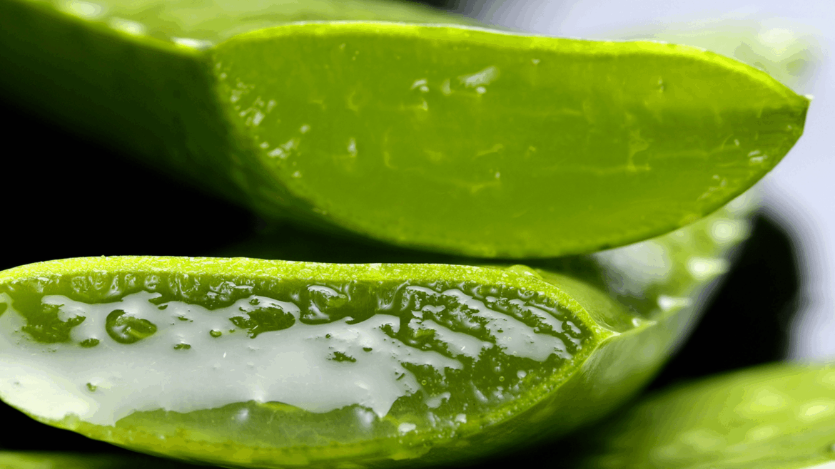 Absolème bienfaits aloe verra hydratation