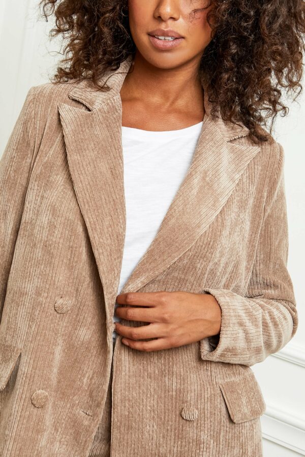 Absolème blazer velours taupe