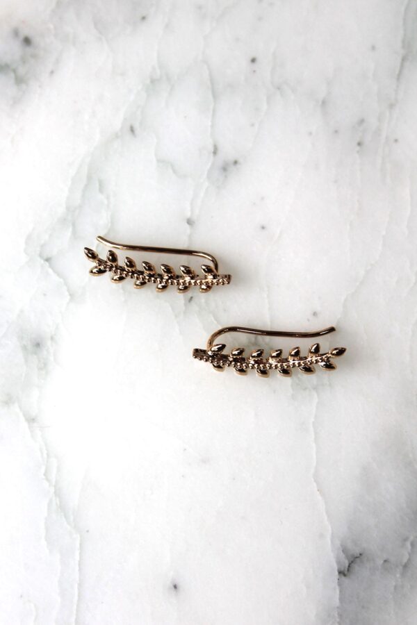Absolème boucles d'oreilles montantes en laurier plaqué or