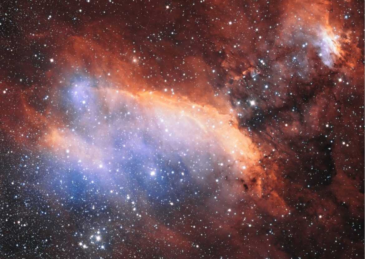 Absolème les signes astrologiques