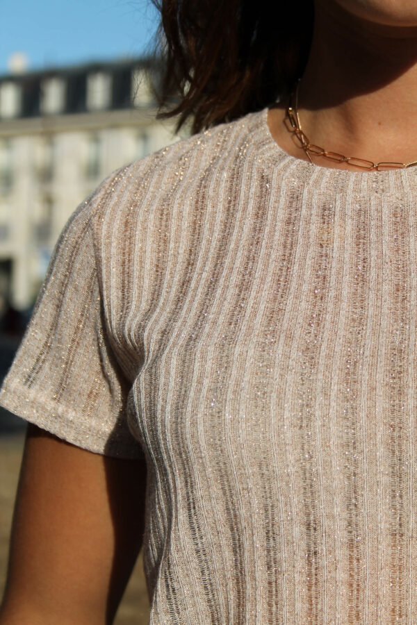 Absolème top rose tendance en lurex