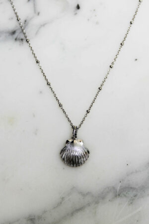 Absolème collier coquillage argent massif