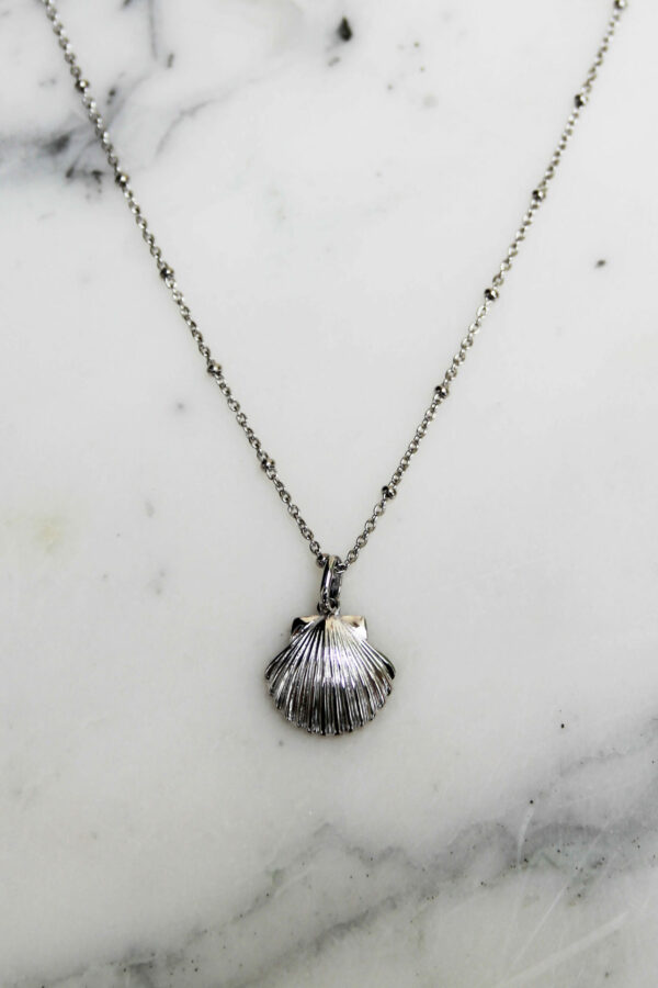 Absolème collier coquillage argent massif