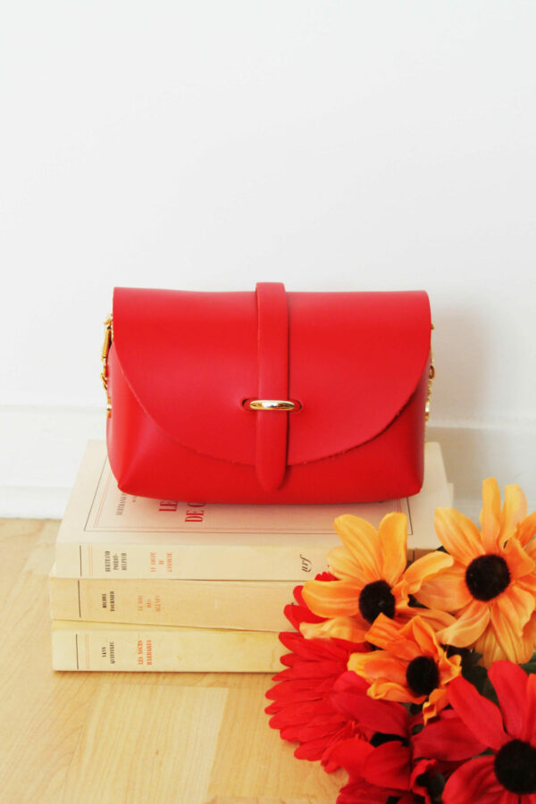 Absolème micro-sac à main cuir rouge