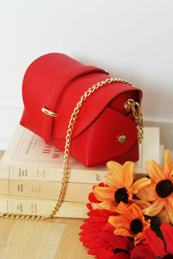 Absolème micro-sac à main cuir rouge