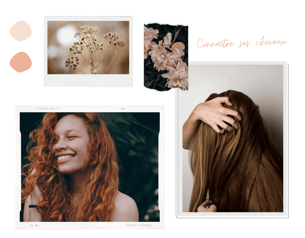 Absolème avoir de beaux cheveux