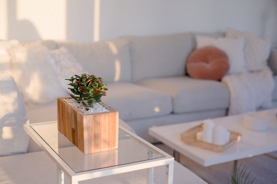 Absolème comment avoir un chez-soi feng shui ?