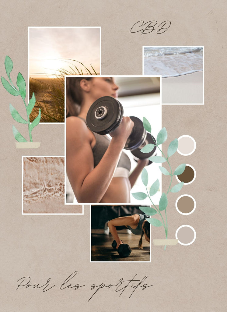 Absolème les bienfaits du CBD pour les sportifs