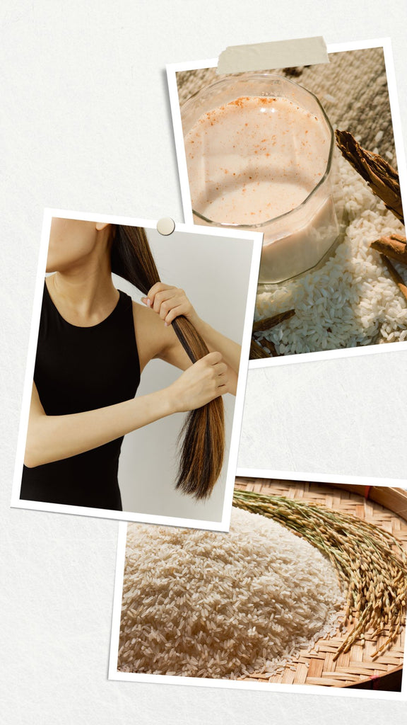 Absolème les bienfaits de l'eau de riz sur les cheveux