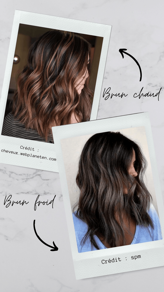 Absolème beauté brun chaud et brun froid