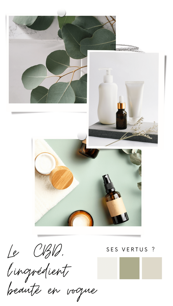 Absolème CBD ingrédient beauté