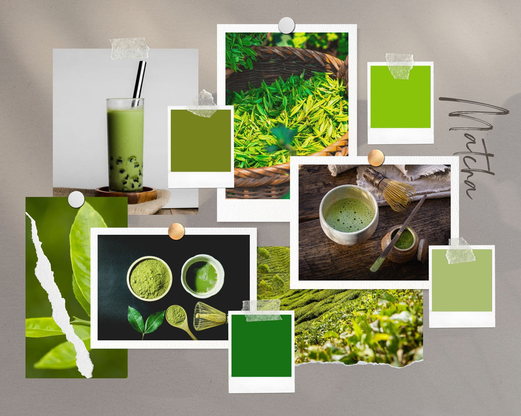 Absolème comment préparer du thé matcha ?
