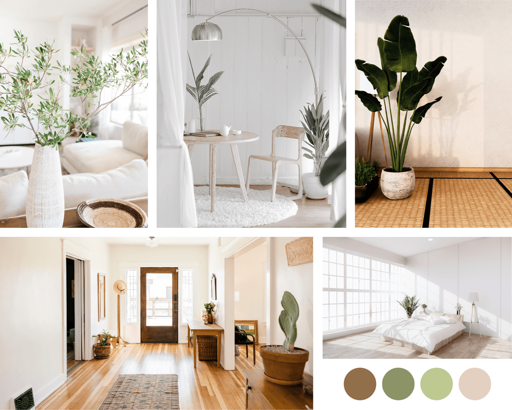 Absolème conseils intérieur feng shui