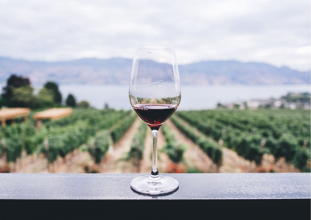 Absolème idées week-end routes des vins en France