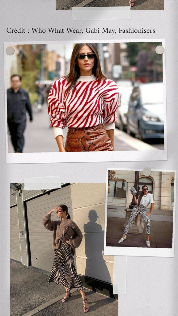 Absolème inspiration look imprimé zèbre