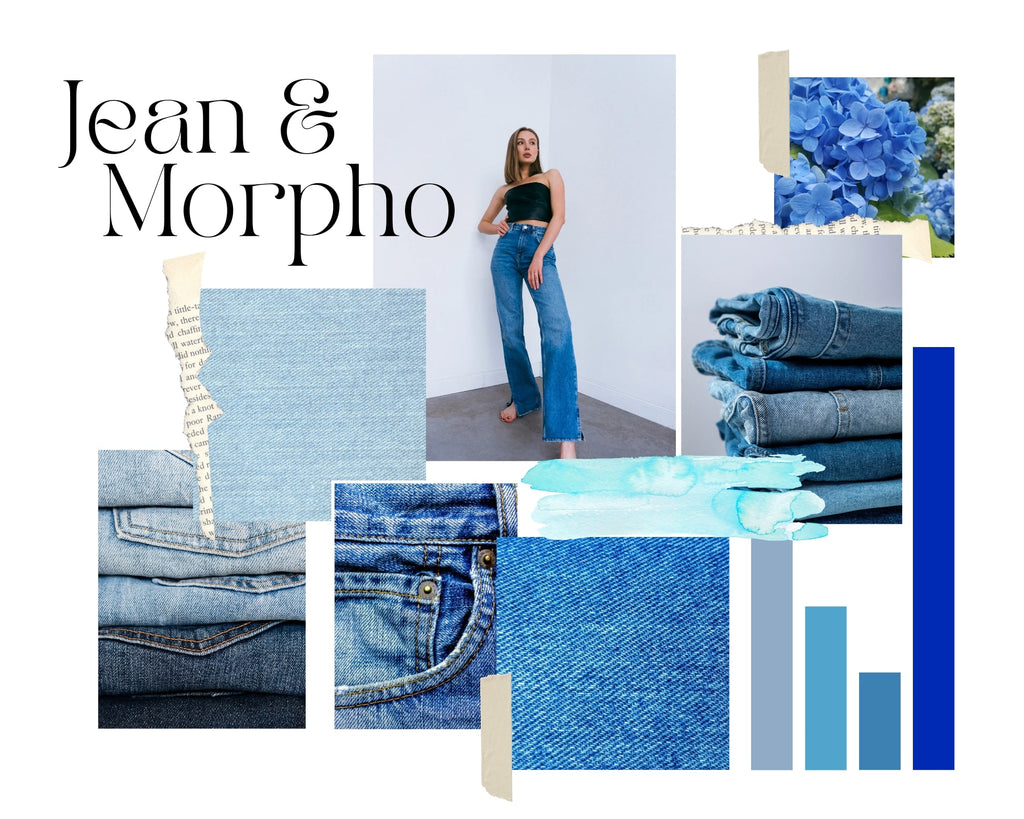 Absolème jean et morphologie