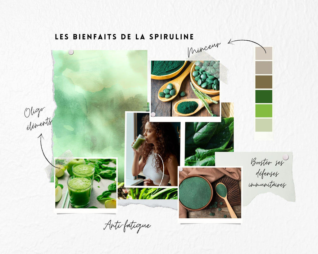 Absolème les bienfaits de la spiruline