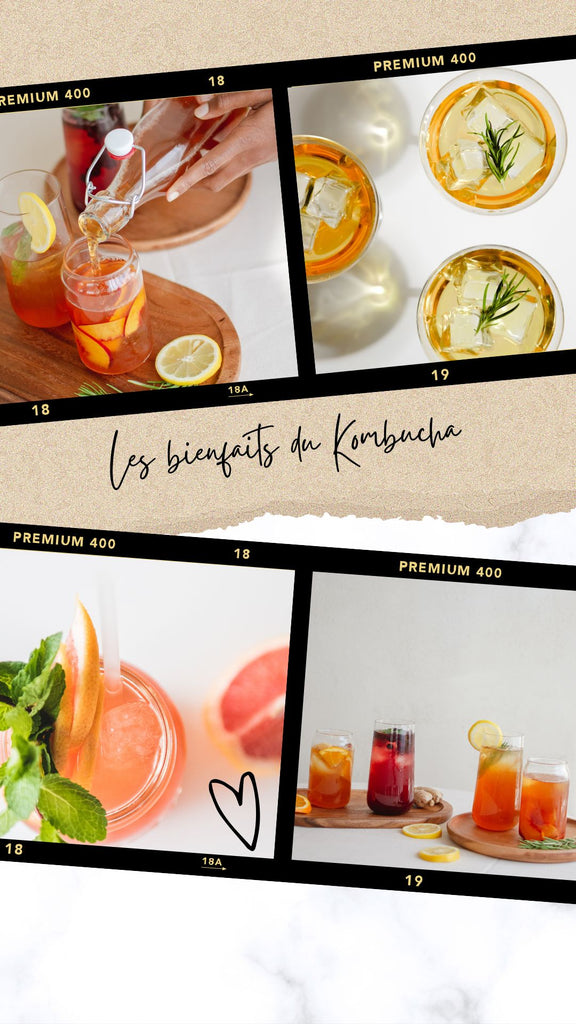 Absolème les bienfaits du kombucha