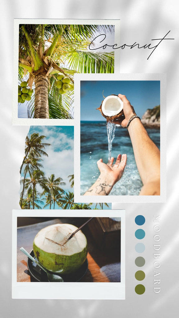 Absolème noix de coco mine d'or de nutriments