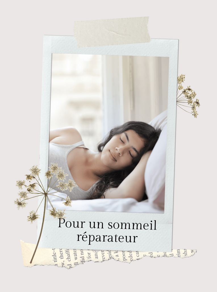 Absolème oreiller en soie