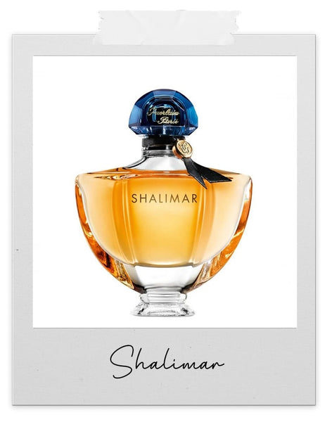 Absolème parfums épicés et sensuels pour femme Shalimar
