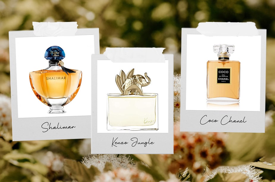 Absolème 5 parfums épicés et sensuels pour femme 