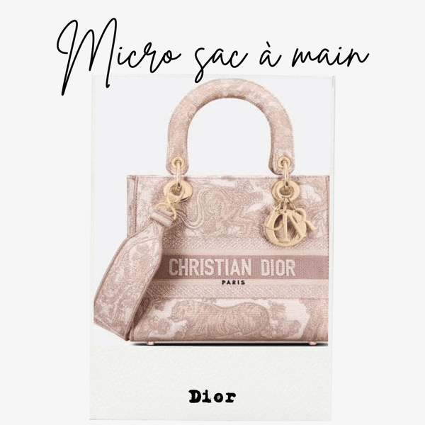 Absolème tendance micro sac à main