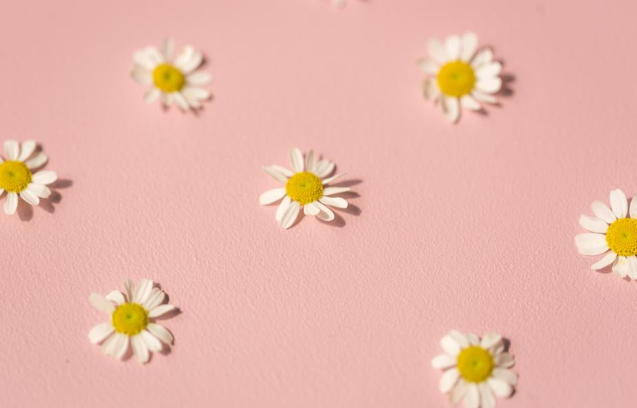 Absolème tendance rose pastel