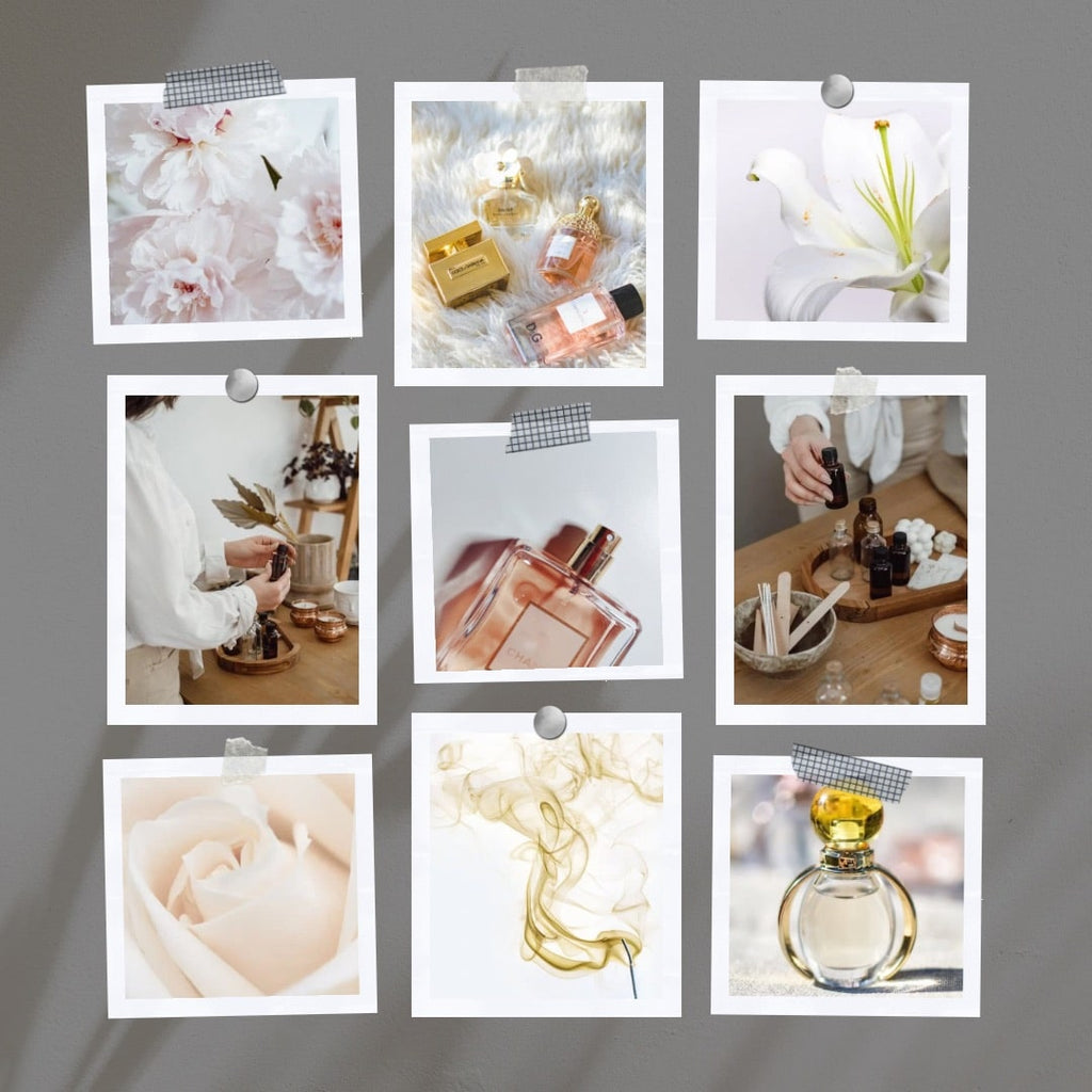 Absolème parfums printaniers pour femme