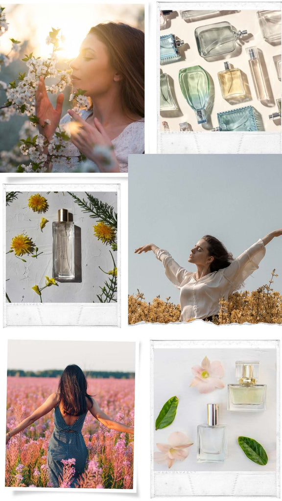 Absolème que choisir entre eau de toilette et eau de parfum ?