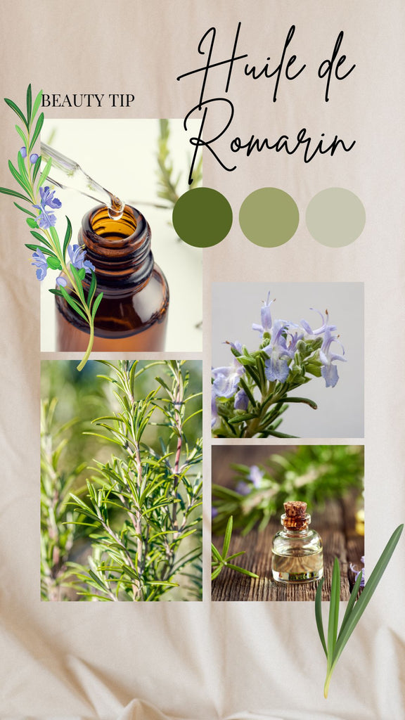 Absolème utiliser l'huile de romarin pour les cheveux