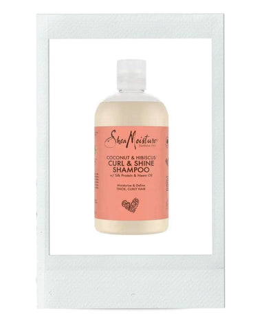 Absolème shampoing protéine cheveux faible porosité