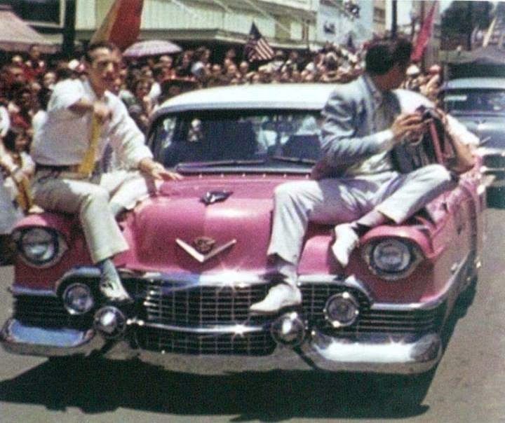Absolème cadillac rose Elvis Presley