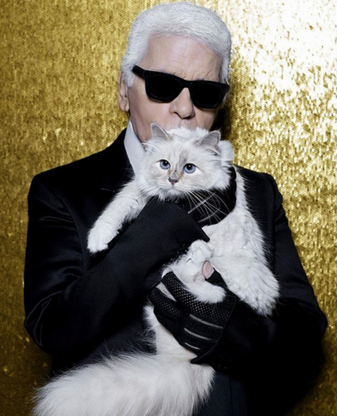 Absolème Karl Lagerfeld citations cultes