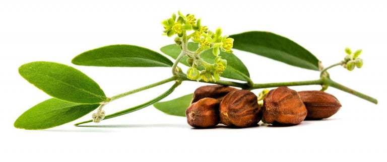 Absolème meilleures huiles contre la peau sèche huile de jojoba