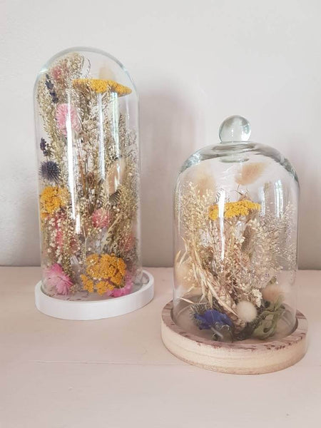 Absolème idées déco fleurs séchées sous cloche