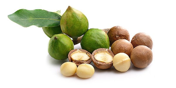Absolème meilleures huiles contre la peau sèche huile de macadamia