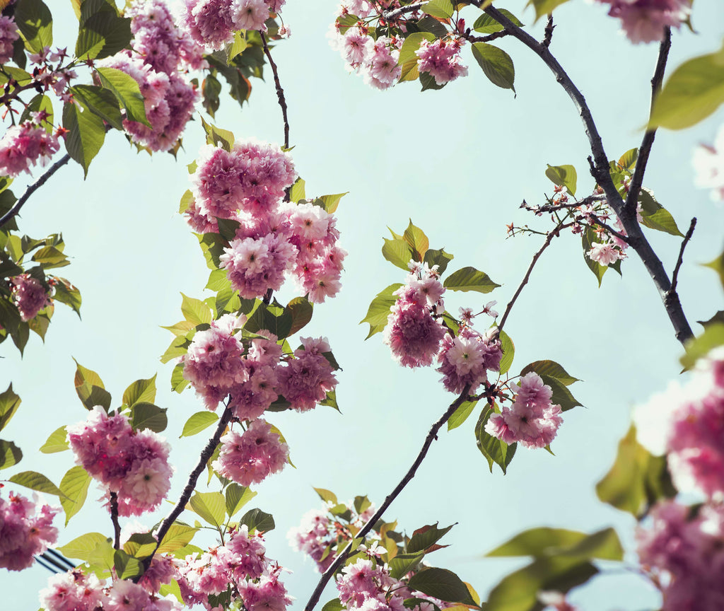 Mode pièces tendances printemps