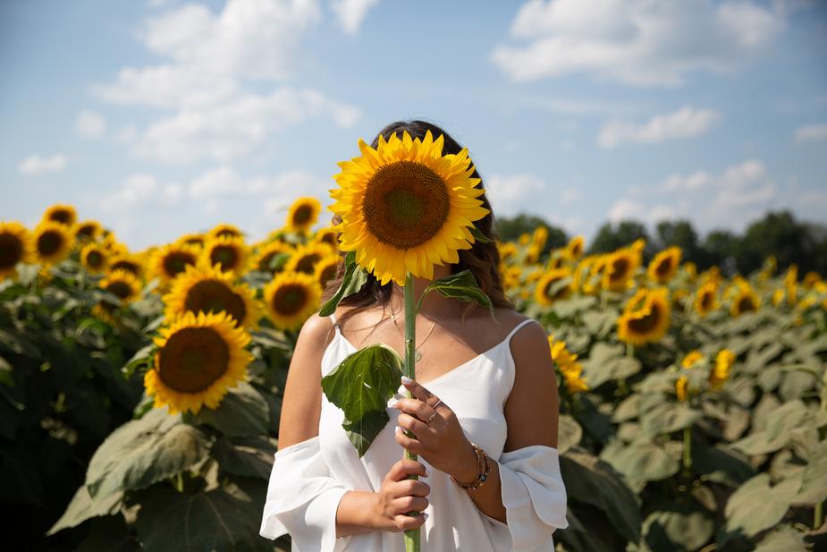 Absolème 40 citations positives et inspirantes