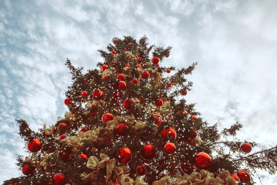 Absolème 10 marques créateurs coup de coeur pour idées cadeaux de Noël 